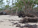 Vyplavené zbytky strom a rostlin na Playa Maguana