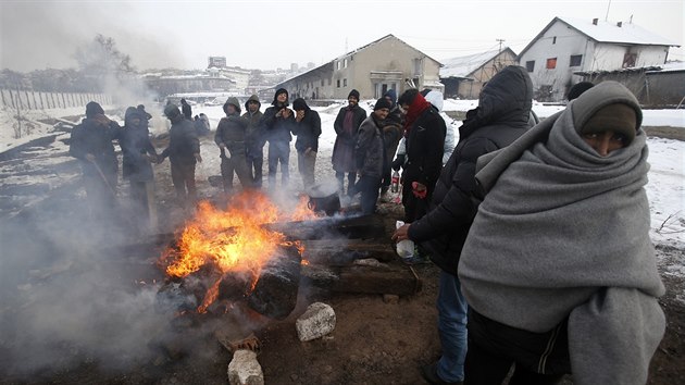 Migranti u Blehradu zabydleli oputnou eleznin budovu (9. ledna 2017)