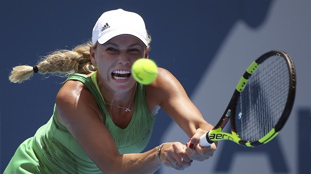 Dnsk tenistka Caroline Wozniack na turnaji v Sydney v duelu s Barborou Strcovou.