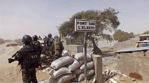 Vojci hldkuj pobl kamerunsko-nigerijsk hranice, kde operuje teroristick skupina Boko Haram (25. nora 2015)