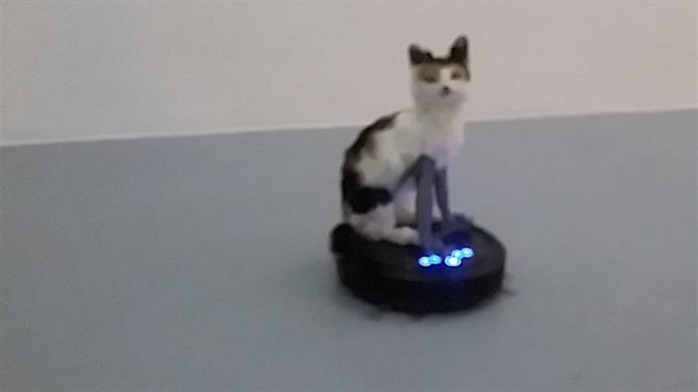 VIDEO: Nádech, výdech... Po galerii jezdí kočka na robotickém vysavači -  iDNES.cz
