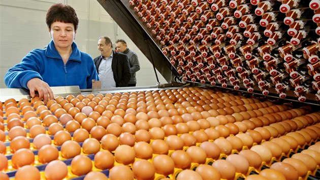 Spolenost esk vejce Farms otevela ve Vejprnicch u Plzn novou tdrnu vajec za 135 milion korun. (5. ledna 2017)