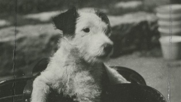 Karel Čapek, fotografie Dášeňky, 1932