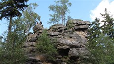 Dev�t skal bude mí� zalesn�no, ne� jsou lidé dosud zvyklí. Tato fotografie je z...