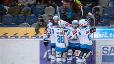 Chomutovští hokejisté oslavují gól.