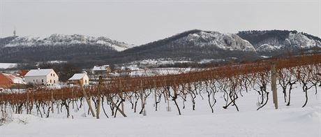 Top vininí trat jsou v Jihomoravském kraji pedevím na Mikulovsku a...