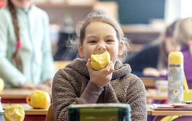 Školáci si za obědy o desetinu připlatí, přitom ubude masa i ovoce