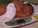 estikilové miminko miminko se narodilo v Melbourne.