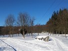 Cesta z parkovit areálem hvzdárny