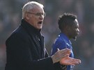 Claudio Ranieri, trenér fotbalist Leicesteru, bhem utkání na hiti...