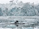 Uznávaný italský skladatel Ludovico Einaudi hrál v Arktid u pobeí Svalbard v...