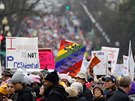 Manifestace za práva en ve Washingtonu (21. ledna 2017)