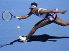 Americká tenistka Venus Williamsová v duelu 4. kola Australian Open s Nmkou...