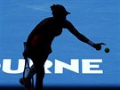 Mirjana Luiová-Baroniová ve tvrtfinále Australian Open