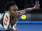 Venus Williamsová ve finále Australian Open