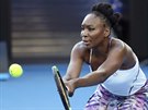 Venus Williamsová ve finále Australian Open.