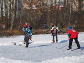 Velikost Milíovského rybníka zaruuje bruslení veho druhu... Jen si kadý...