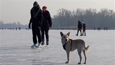 Obyvatelé Vídn hrají hokej na zamrzlém Starém Dunaji, jednom z ramen...