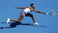 Venus Williamsová dobíhá míek v semifinále Australian Open.