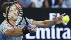 Bulharský tenista Grigor Dimitrov hraje v semifinále Australian Open proti...