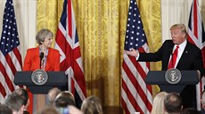 Americký prezident Donald Trump se setkal s britskou premiérkou Theresou...