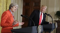 Americký prezident Donald Trump se setkal s britskou premiérkou Theresou...