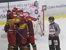 Radost jihlavských hokejist v utkání proti Tebíi.