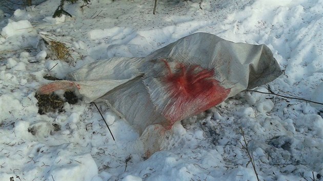 V Šindelové našli týraného psa, kterého kdosi pravděpodobně praštil lopatou, zavázal do pytle a zakopal do hromady sněhu. Snímek z okamžiku nálezu - pytel, ve kterém byl pes zavázaný.