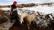 V okolí alírského msta Ain Sefra na Sahae napadl sníh (26.1.2017).