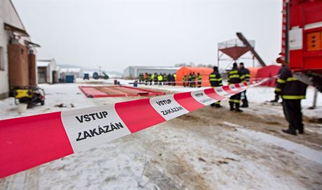 Ptaí chipka zasáhla komerní chov ve Vlachov Bezí na Prachaticku. V únoru...