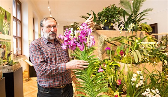 Oblíbenou výstavu orchidejí, bromélií, sukulent a jiných exotických rostlin...