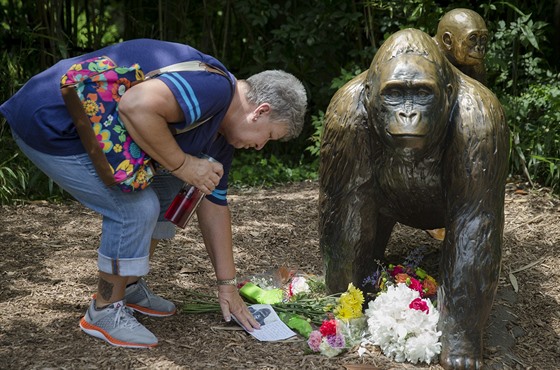 Na Harambeho památku postavili v Cincinnati  i pomník,