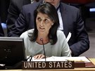Nová americká zástupkyn v OSN Nikki Haleyová