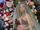 Thotná Beyoncé Knowlesová oznámila, e eká dvojata (1. února 2017).