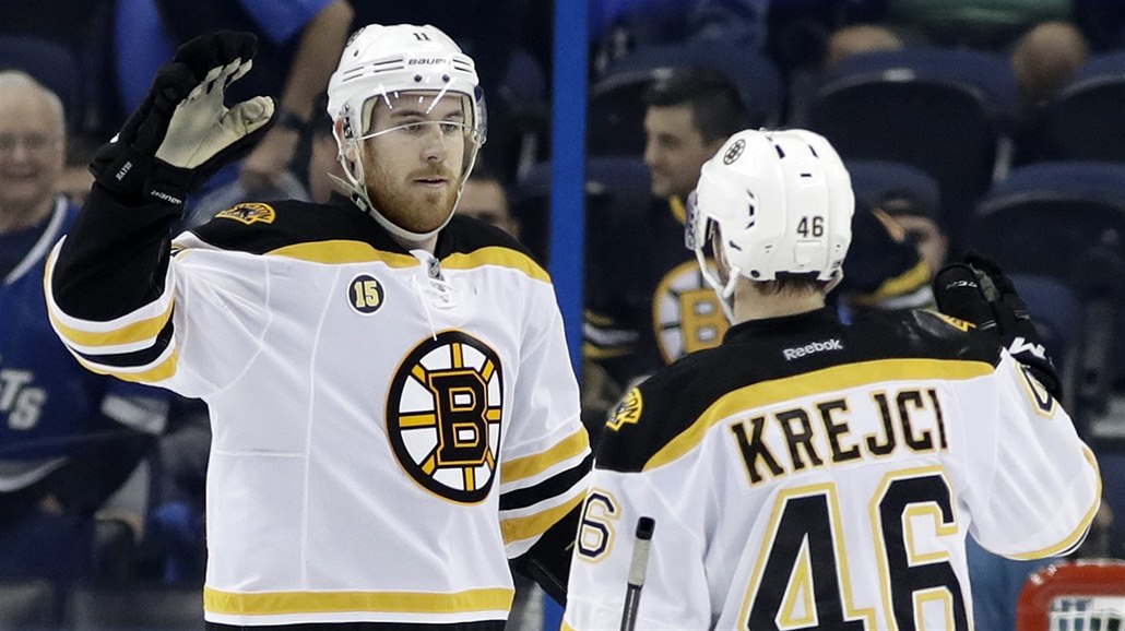 Jimmy Hayes a David Krejí slaví gól Bostonu.