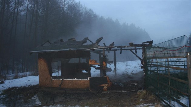 V Zoo Dvorec u Borovan uhoeli o vkendu vzcn ptci. koda je pl milionu korun.