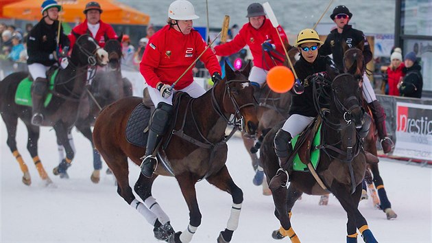 Unikátní turnaj v koňském pólu na sněhu ve Špindlerově mlýně.
