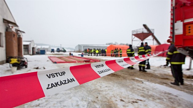 Ptačí chřipka zasáhla komerční chov ve Vlachově Březí na Prachaticku. V únoru tam veterináři a hasiči utratili 17 tisíc kachňat.