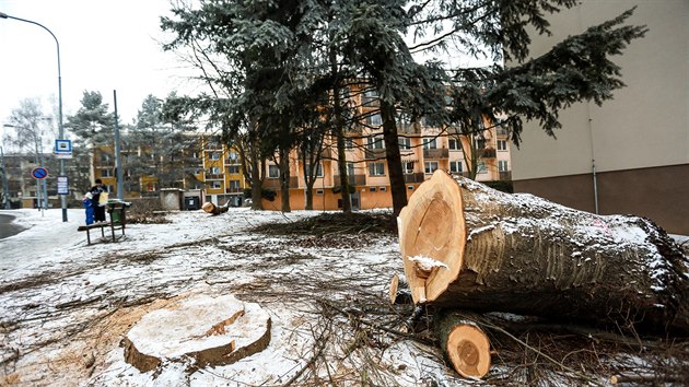 Tm tyi stovky devin nechala pokcet radnice v Brn-Komn. V dubnu ale zane velk vsadba, dky n do ulice pibude 107 listn a dva tisce novch ke.