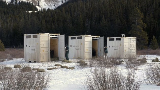 Na uzaven pastvin dol Panther zstanou zvata zhruba do ervna 2017, stle peliv sledovna pracovnky vldn agentury pro sprvu nrodnch park Kanady.