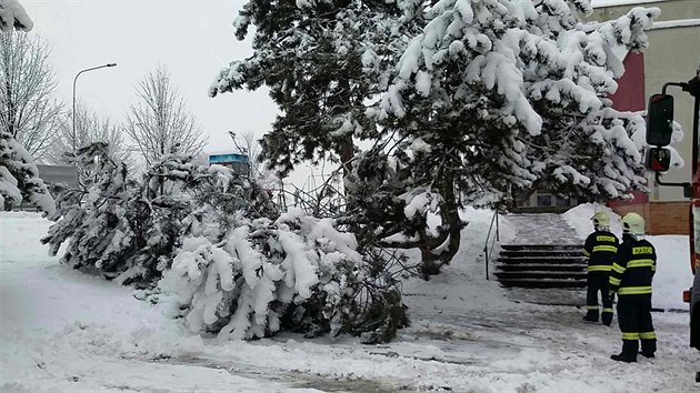Hasiči odklízejí v Hranicích větvě, které se ulomily ze stromu pod váhou tajícího sněhu.