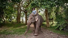 Takzvaný mahout jede na slonovi u luxusního thajského rezortu Anantara nedaleko...