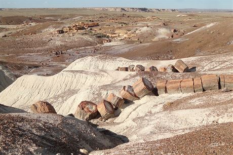 Petrified Forest