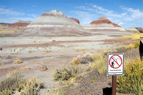 Petrified Forest