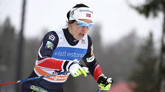 Norská bkyn na lyích  Norka Marit Björgenová na trati klasické desítky v...