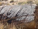 Petrified Forest