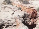 Petrified Forest, okruh Blue Mesa