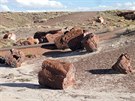 Petrified Forest