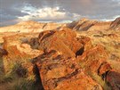 Petrified Forest