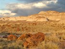 Petrified Forest